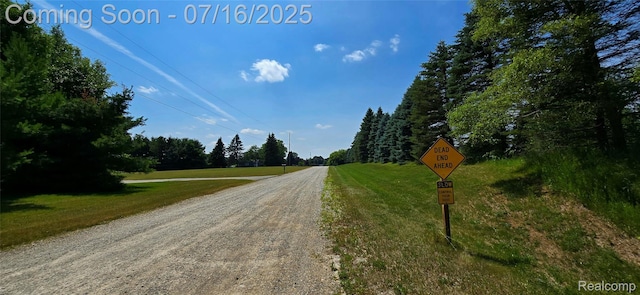 378 Fruitdale Ln, Pinckney, MI 48169 - view of dirt / gravel road