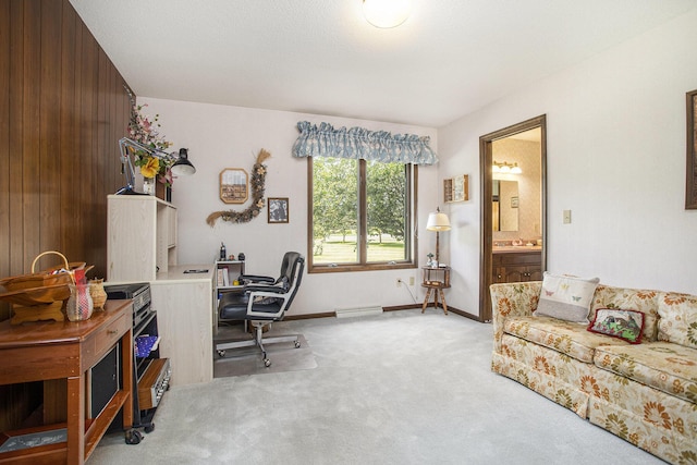 335 Fairway Dr, Coldwater, MI 49036 - home office with carpet floors and baseboards