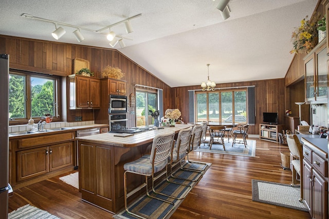 335 Fairway Dr, Coldwater, MI 49036 - kitchen featuring rail lighting, stainless steel appliances, wooden walls, tile counters, and lofted ceiling
