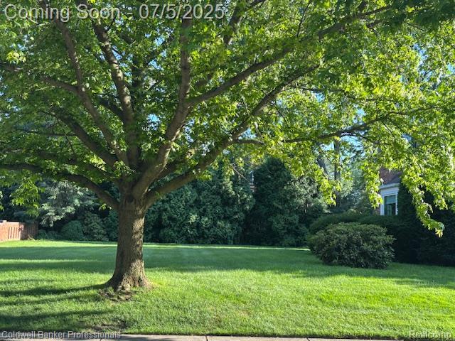 17 Colonial Rd, Grosse Pointe Shores, MI 48236 - view of green lawn
