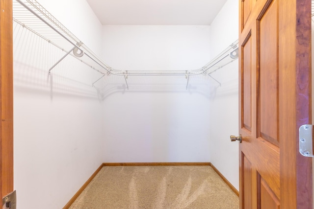 56234 Sink Rd, Dowagiac, MI 49047 - walk in closet with light carpet