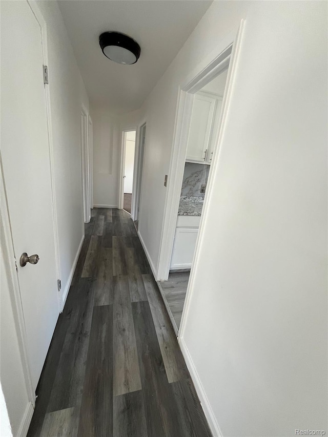 7800 Rutland St, Detroit, MI 48228 - corridor with dark wood-style floors and baseboards