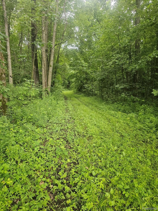 341 W Sawdust Corners Rd, Lapeer, MI 48446
