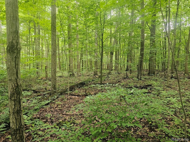 341 W Sawdust Corners Rd, Lapeer, MI 48446