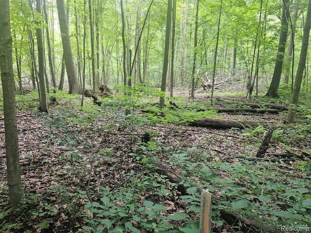341 W Sawdust Corners Rd, Lapeer, MI 48446