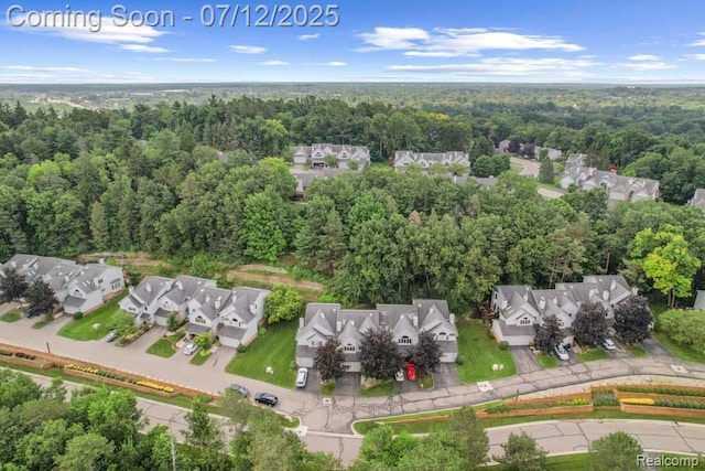 6559 Ridgeview Dr, Clarkston, MI 48346 - aerial overview of property's location featuring nearby suburban area and a forest