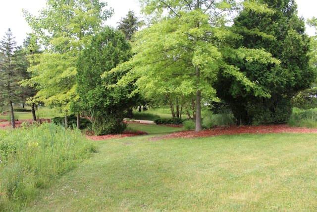 665 Meadow Dr, South Haven, MI 49090 - photo 32