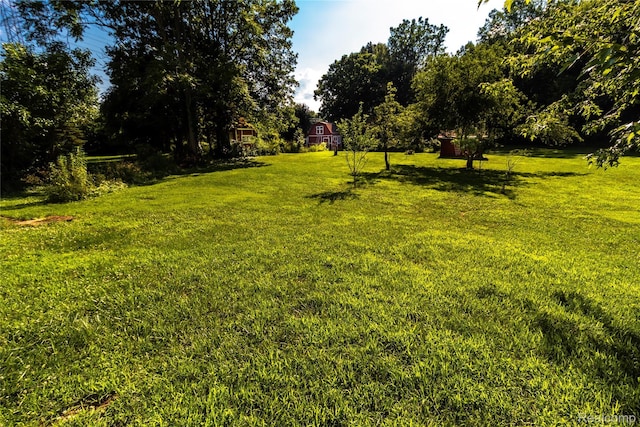 2380 Wilder Rd, Metamora, MI 48455 - view of grassy yard