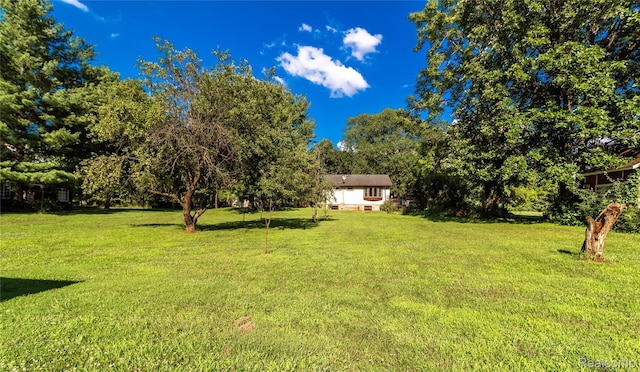 2380 Wilder Rd, Metamora, MI 48455 - view of green lawn