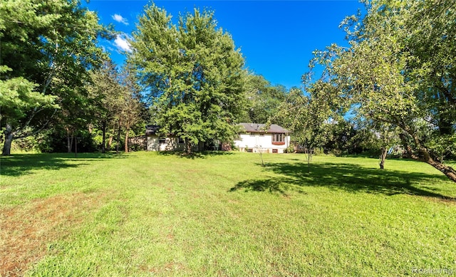 2380 Wilder Rd, Metamora, MI 48455 - view of green lawn
