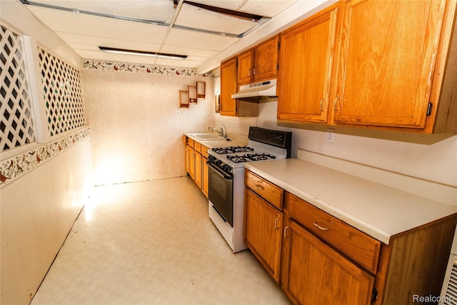 2380 Wilder Rd, Metamora, MI 48455 - kitchen featuring range with gas stovetop, light countertops, brown cabinets, light flooring, and under cabinet range hood