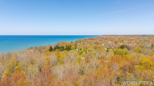 475 Lakeshore Dr, South Haven, MI 49090 - photo 63