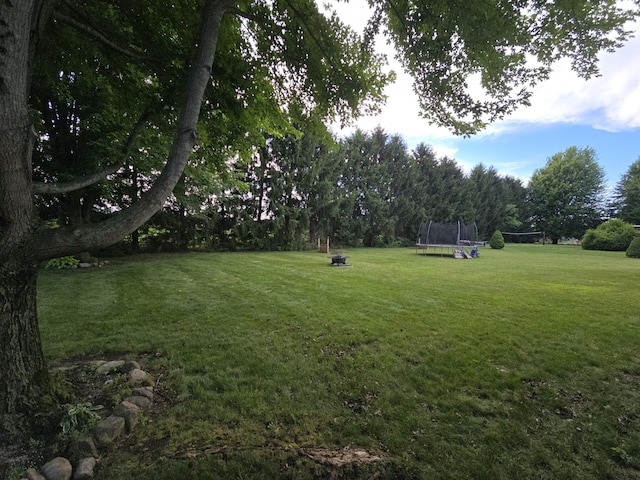 274 Pioneer St, Mendon, MI 49072 - view of grassy yard with a trampoline