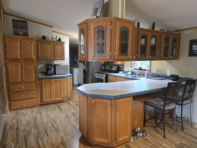 274 Pioneer St, Mendon, MI 49072 - kitchen featuring a textured ceiling, appliances with stainless steel finishes, crown molding, light wood-type flooring, and a peninsula