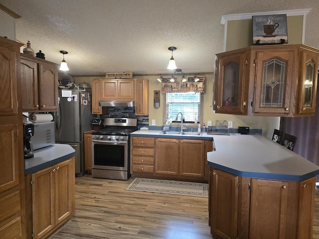 274 Pioneer St, Mendon, MI 49072 - kitchen with appliances with stainless steel finishes, under cabinet range hood, light wood-style floors, a peninsula, and glass insert cabinets