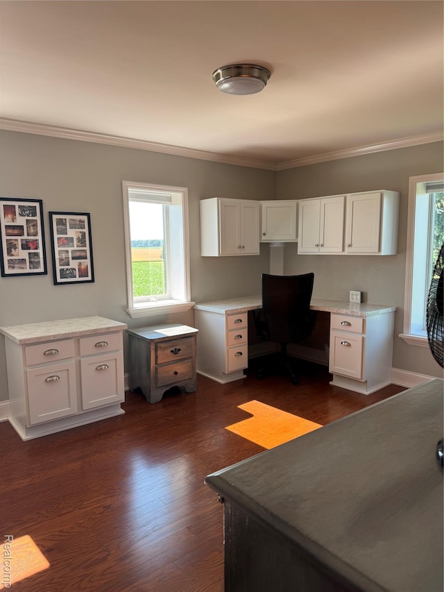 3981 Orchard Rd, Peck, MI 48466 - bedroom featuring built in study area, ornamental molding, multiple windows, and dark wood finished floors