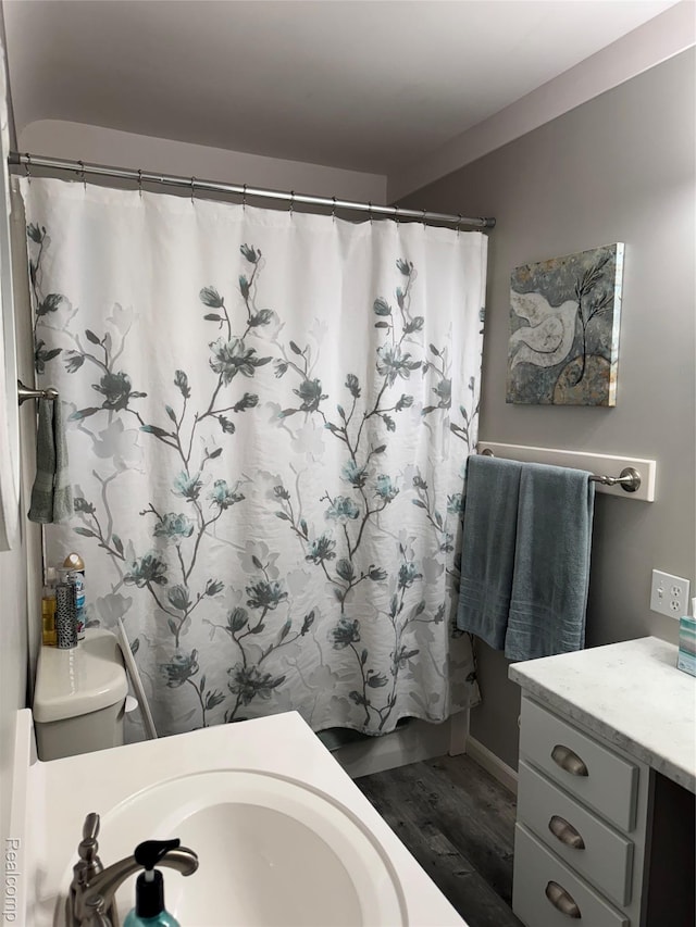 3981 Orchard Rd, Peck, MI 48466 - bathroom with vanity, wood finished floors, and a shower with curtain