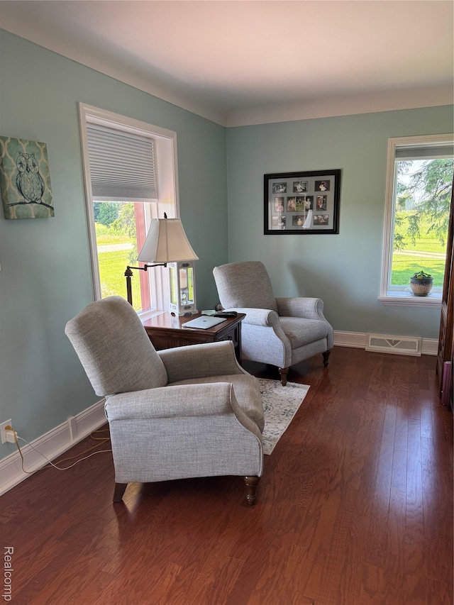 3981 Orchard Rd, Peck, MI 48466 - living area featuring plenty of natural light and dark wood-type flooring