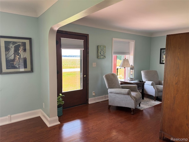 3981 Orchard Rd, Peck, MI 48466 - entryway with dark wood finished floors, plenty of natural light, and arched walkways
