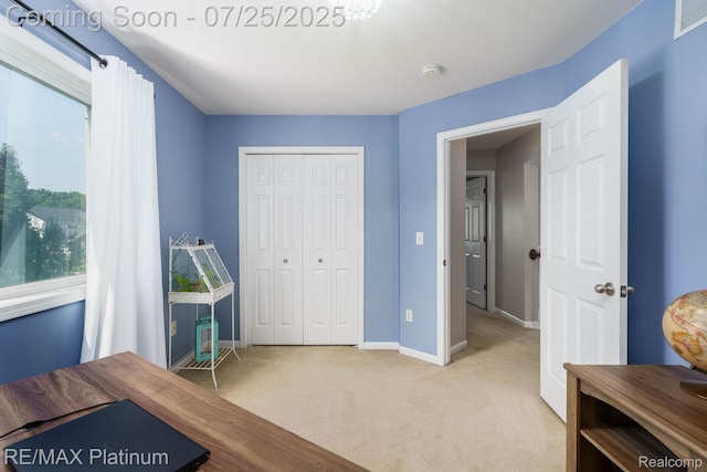 268 Crystal Ct, Howell, MI 48843 - photo 38