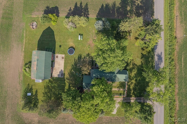 9338 E Mulberry Rd, Blissfield, MI 49228 - photo 52