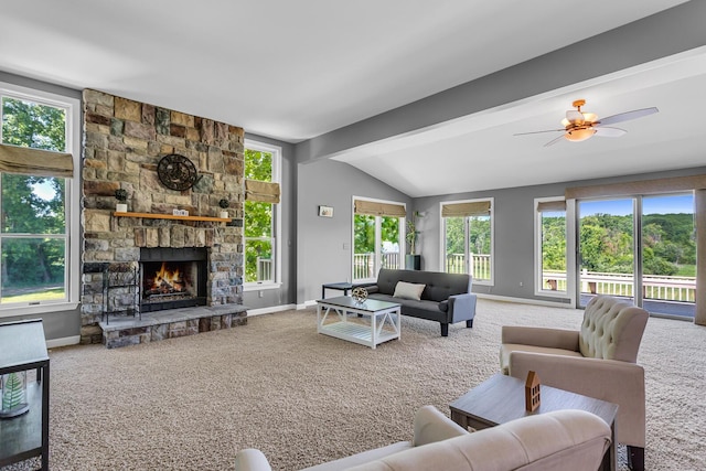 6890 Lingane Rd, Chelsea, MI 48118 - photo 37