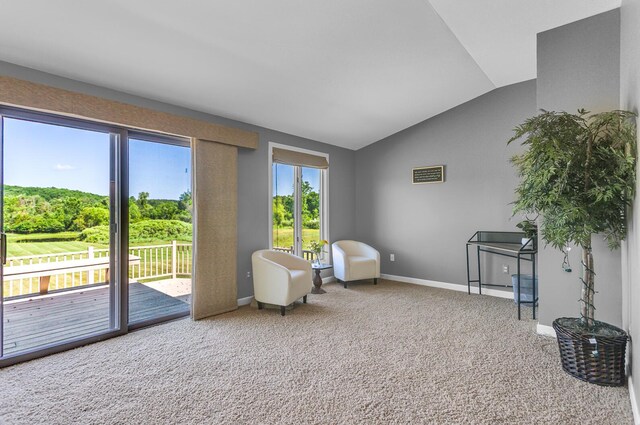 6890 Lingane Rd, Chelsea, MI 48118 - photo 40