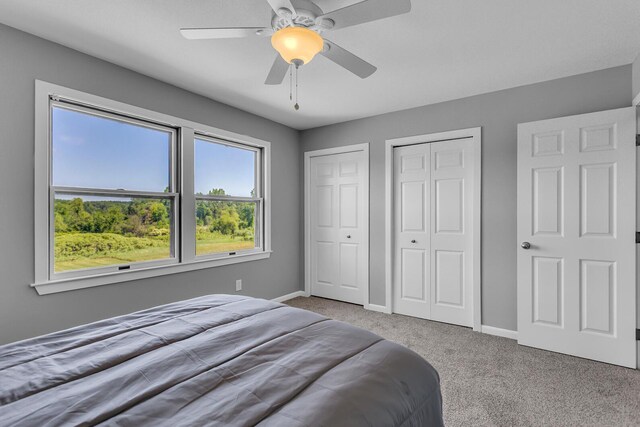 6890 Lingane Rd, Chelsea, MI 48118 - photo 63