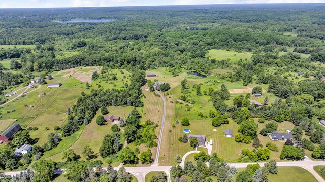 6890 Lingane Rd, Chelsea, MI 48118 - photo 75