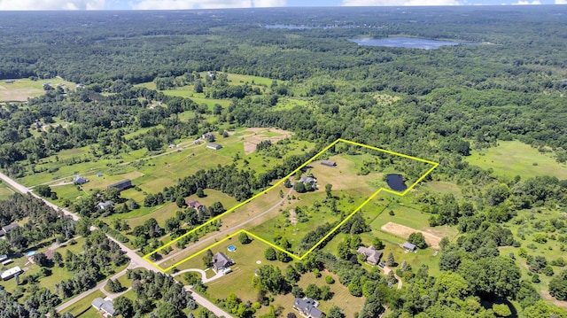 6890 Lingane Rd, Chelsea, MI 48118 - photo 76