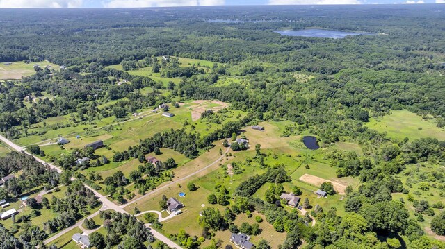 6890 Lingane Rd, Chelsea, MI 48118 - photo 77
