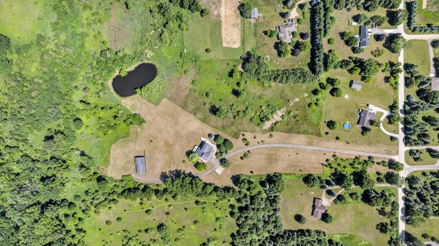 6890 Lingane Rd, Chelsea, MI 48118 - photo 74