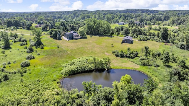 6890 Lingane Rd, Chelsea, MI 48118 - photo 80