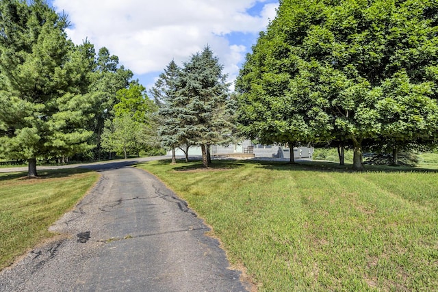 6890 Lingane Rd, Chelsea, MI 48118 - photo 1