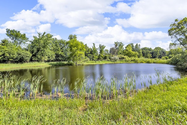 6890 Lingane Rd, Chelsea, MI 48118 - photo 23