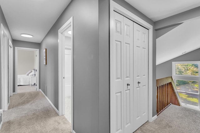 6890 Lingane Rd, Chelsea, MI 48118 - photo 50