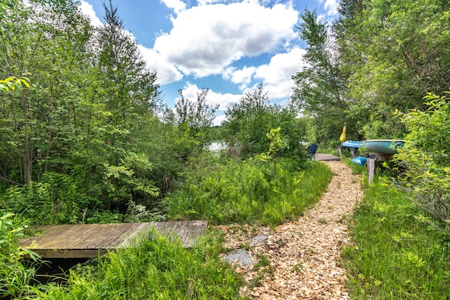 8150 Mester Rd, Chelsea, MI 48118 - view of yard