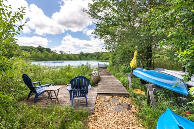 8150 Mester Rd, Chelsea, MI 48118 - dock with a water view
