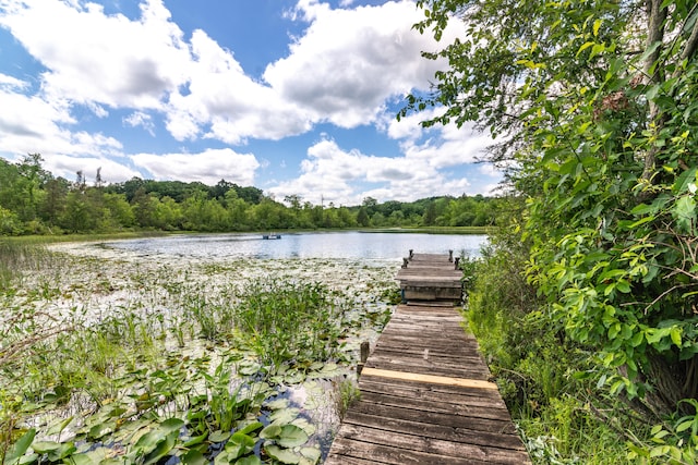 8150 Mester Rd, Chelsea, MI 48118 - dock area featuring a water view and a forest view