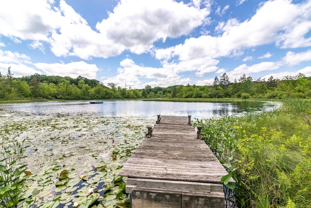 8150 Mester Rd, Chelsea, MI 48118 - dock area with a water view and a view of trees