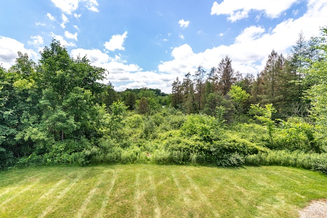 8150 Mester Rd, Chelsea, MI 48118 - view of green lawn with a wooded view