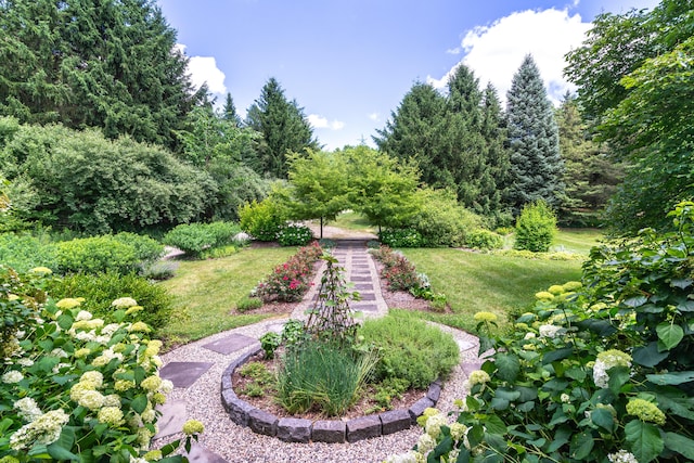 8150 Mester Rd, Chelsea, MI 48118 - view of green lawn
