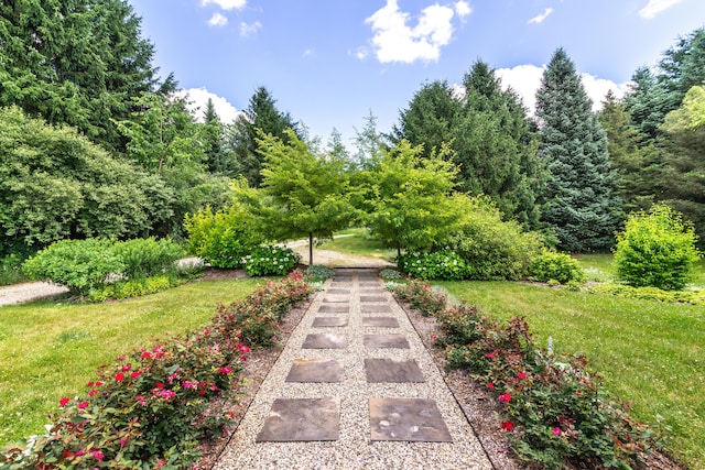 8150 Mester Rd, Chelsea, MI 48118 - view of green lawn