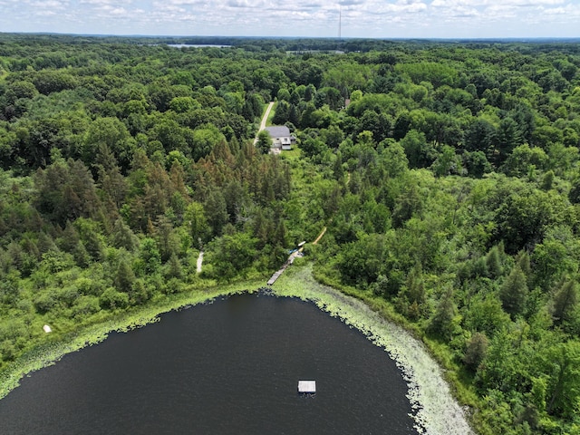 8150 Mester Rd, Chelsea, MI 48118 - aerial view of a heavily wooded area and a large body of water