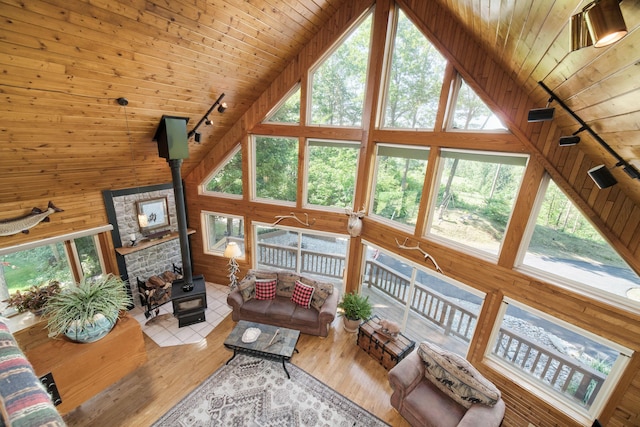 10653 Milarch Rd, Bear Lake, MI 49614 - photo 23