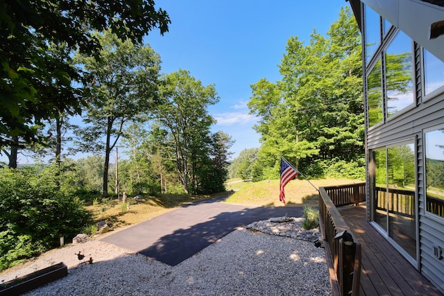 10653 Milarch Rd, Bear Lake, MI 49614 - photo 43