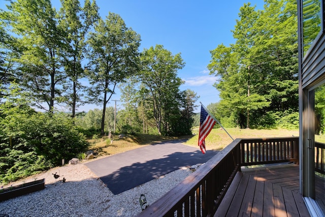 10653 Milarch Rd, Bear Lake, MI 49614 - photo 45