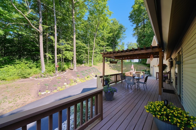 10653 Milarch Rd, Bear Lake, MI 49614 - photo 47