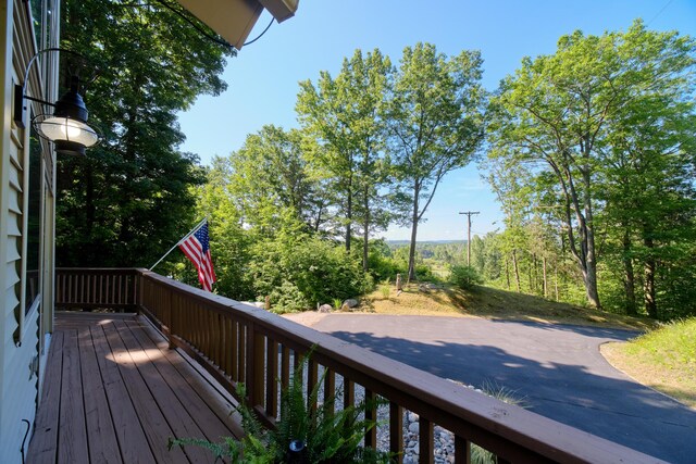 10653 Milarch Rd, Bear Lake, MI 49614 - photo 44