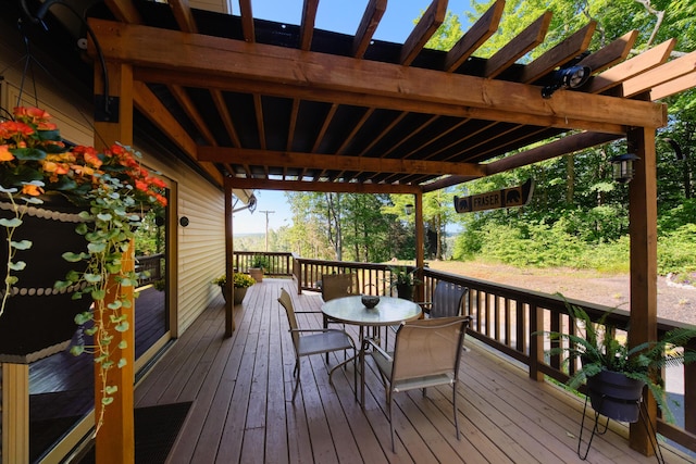 10653 Milarch Rd, Bear Lake, MI 49614 - photo 46